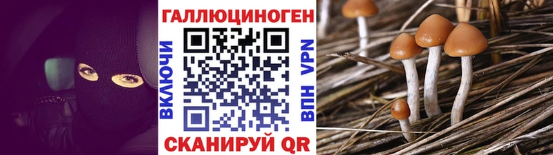 mega ТОР  Котлас  Галлюциногенные грибы прущие грибы 