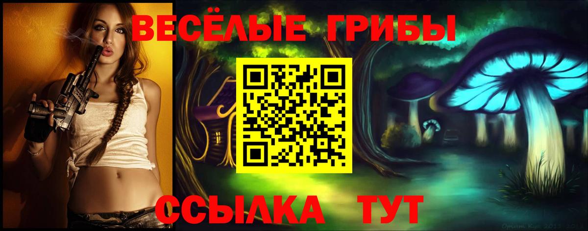 Псилоцибиновые грибы прущие грибы Котлас